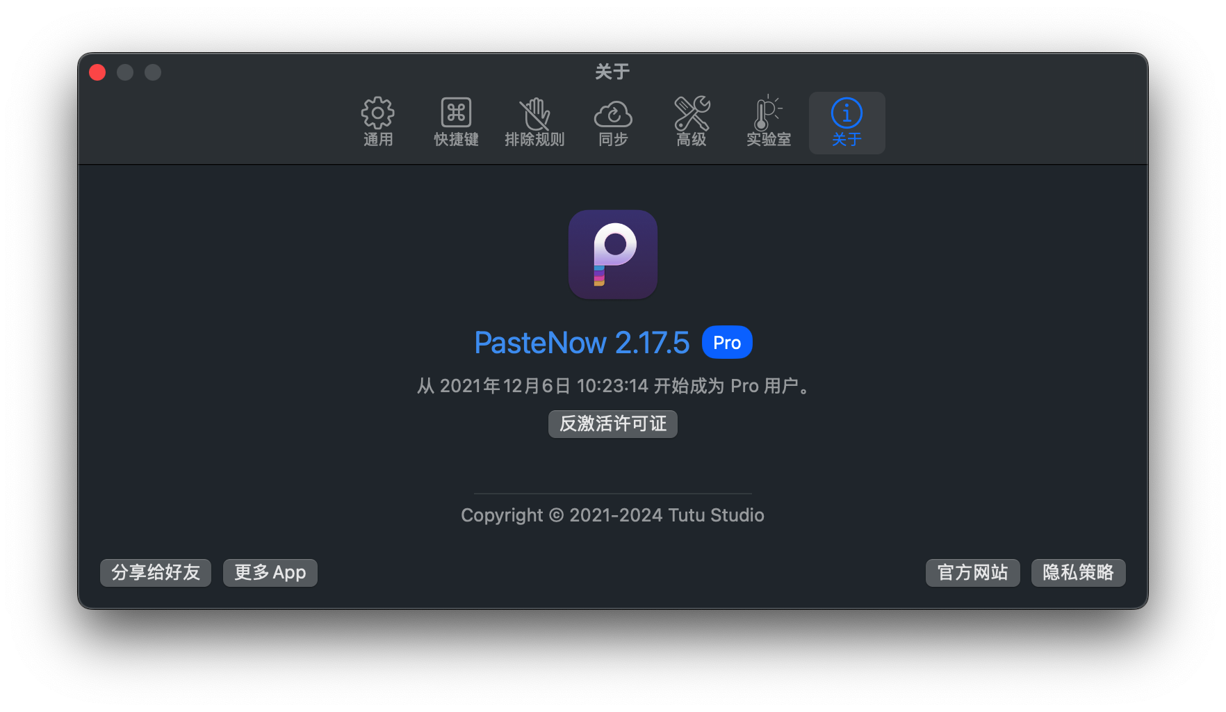 pastenow Pro会员界面